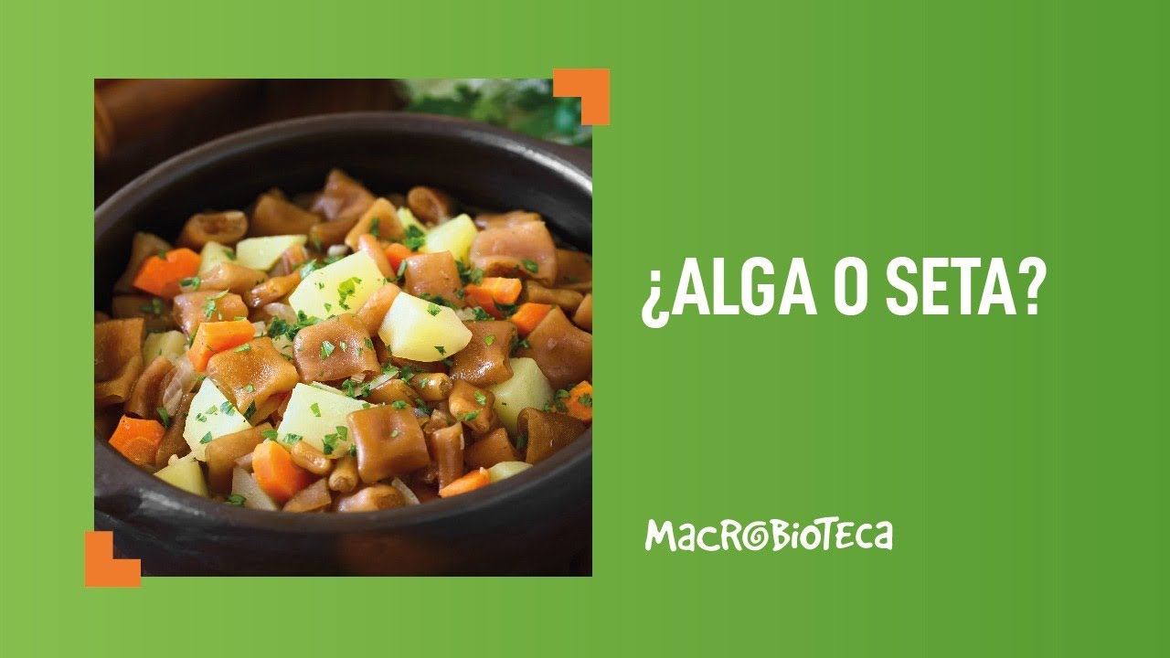 ¿Alga o seta?